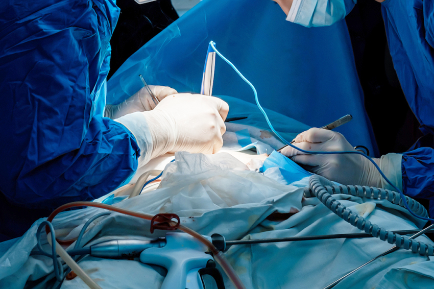 Переваги використання електрохірургічних апаратів у ветеринарній практиці